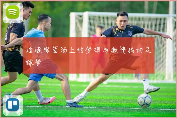 追逐绿茵场上的梦想与激情我的足球梦