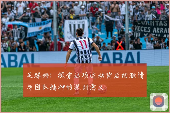 足球姆：探索这项运动背后的激情与团队精神的深刻意义